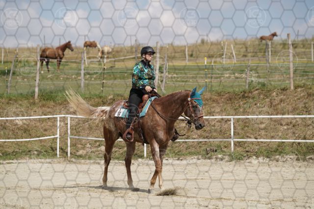 s_K3F06424.JPG